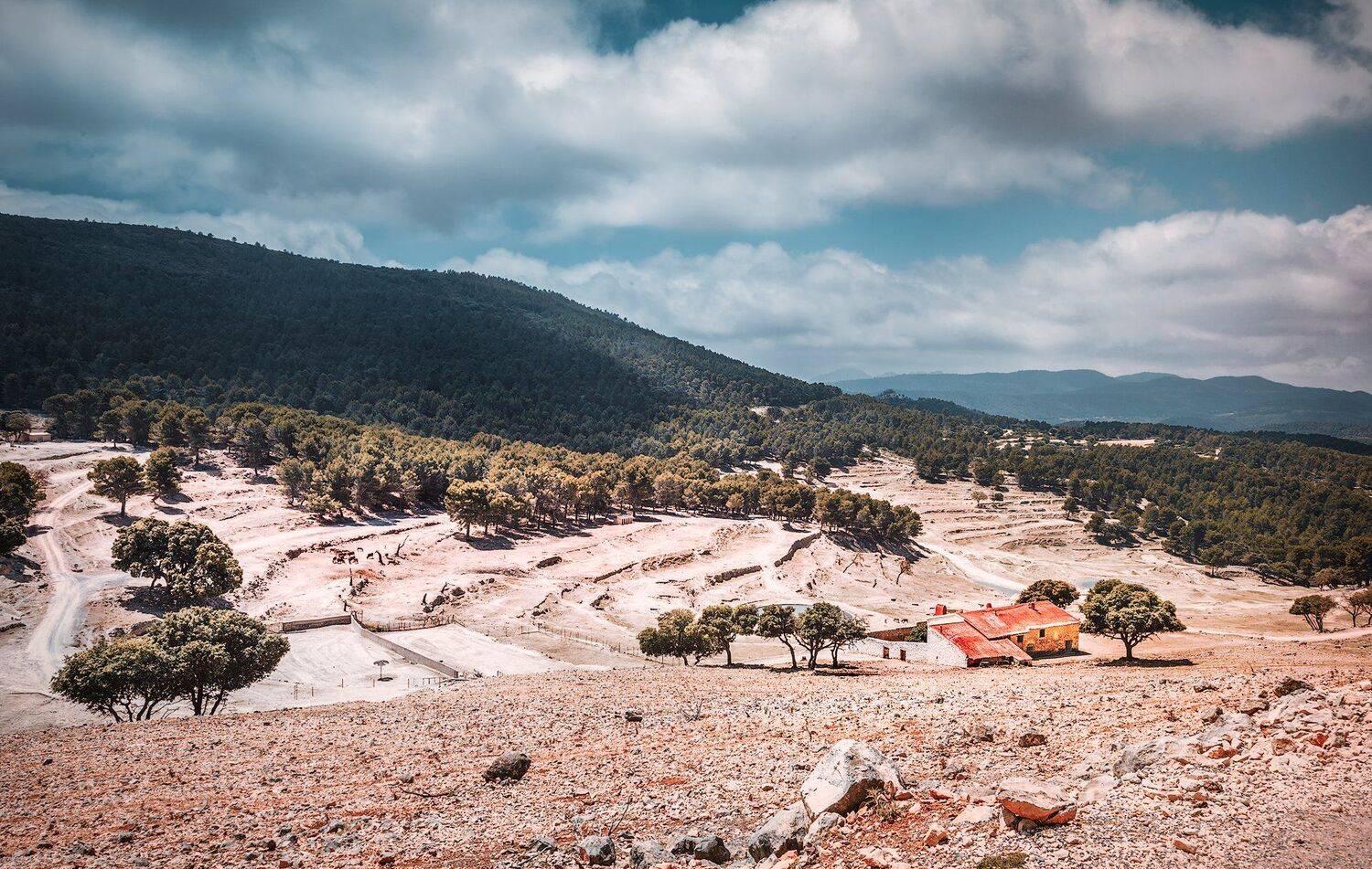 зоопарк, сафари парк, животные, звери, небо, горы, дом, облака,, Андрей Огнев