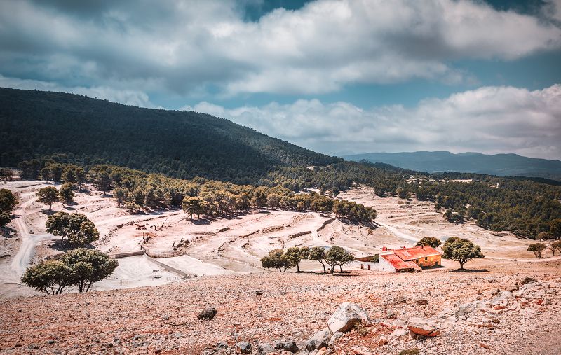 зоопарк, сафари парк, животные, звери, небо, горы, дом, облака, *В мире животных* фото превью