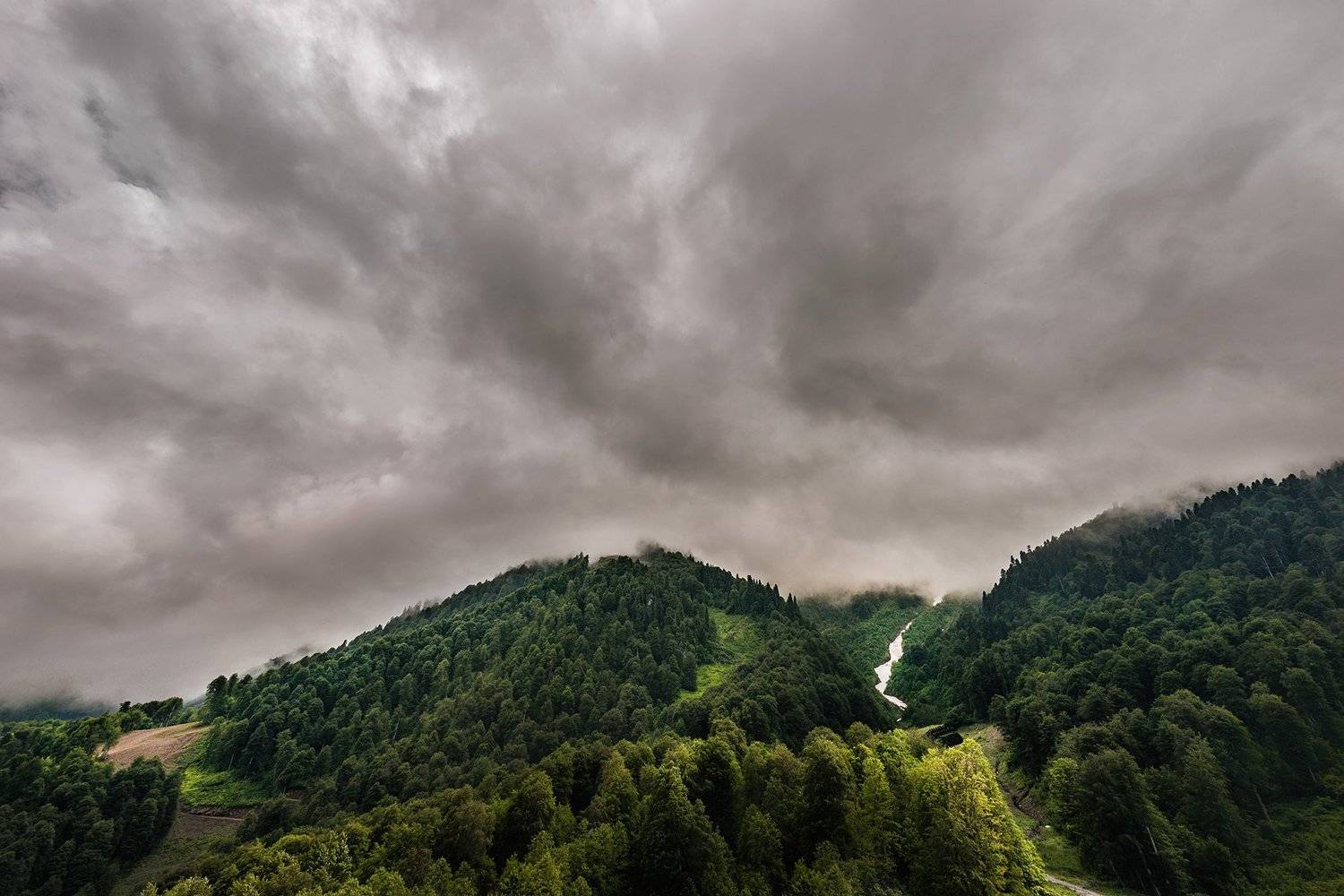 пейзаж,фотограф,фотографмариямальгинаволкова,сочи,красота,природа,nikon,maryrush,photomaryrush,maryrush, Мария Мальгина