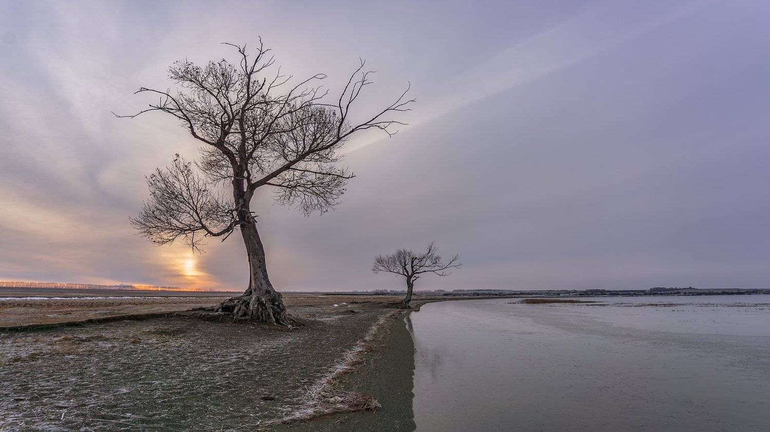 , Леонид Максименко