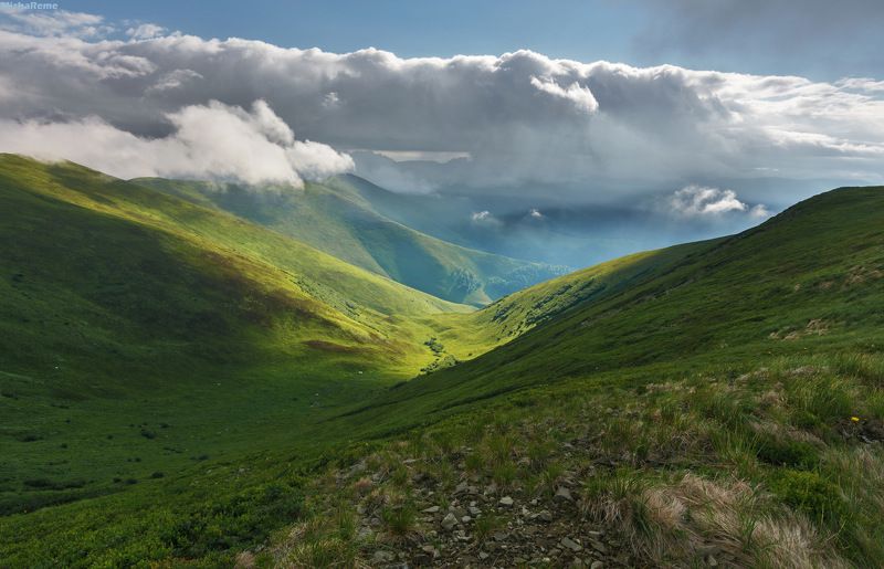 Summer motives фото превью