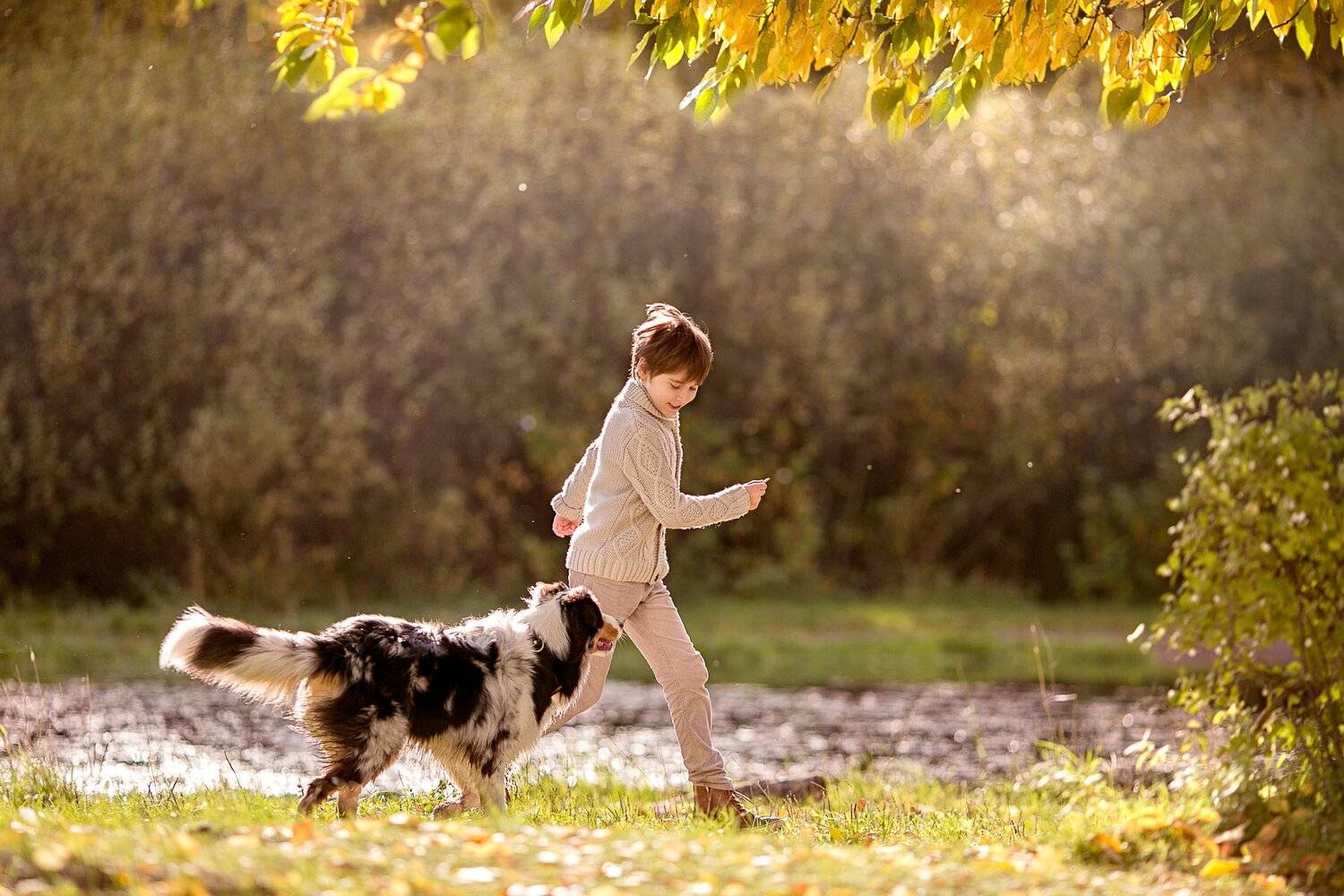 , Димант Анна