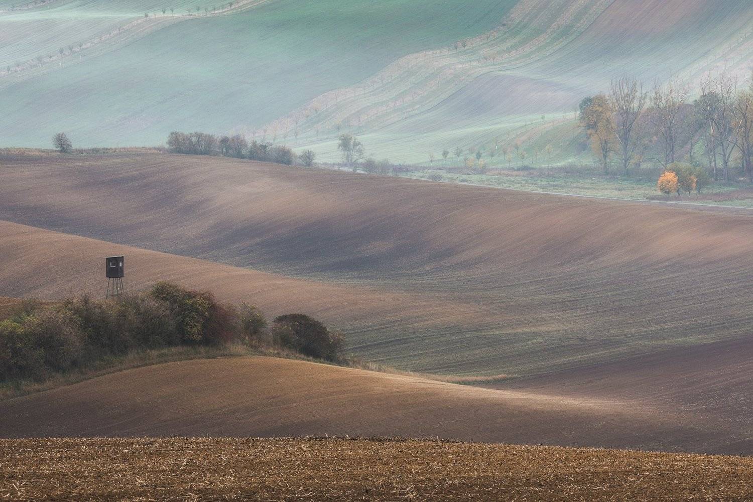южная моравия, осень, поля, туман, Марина Маликова