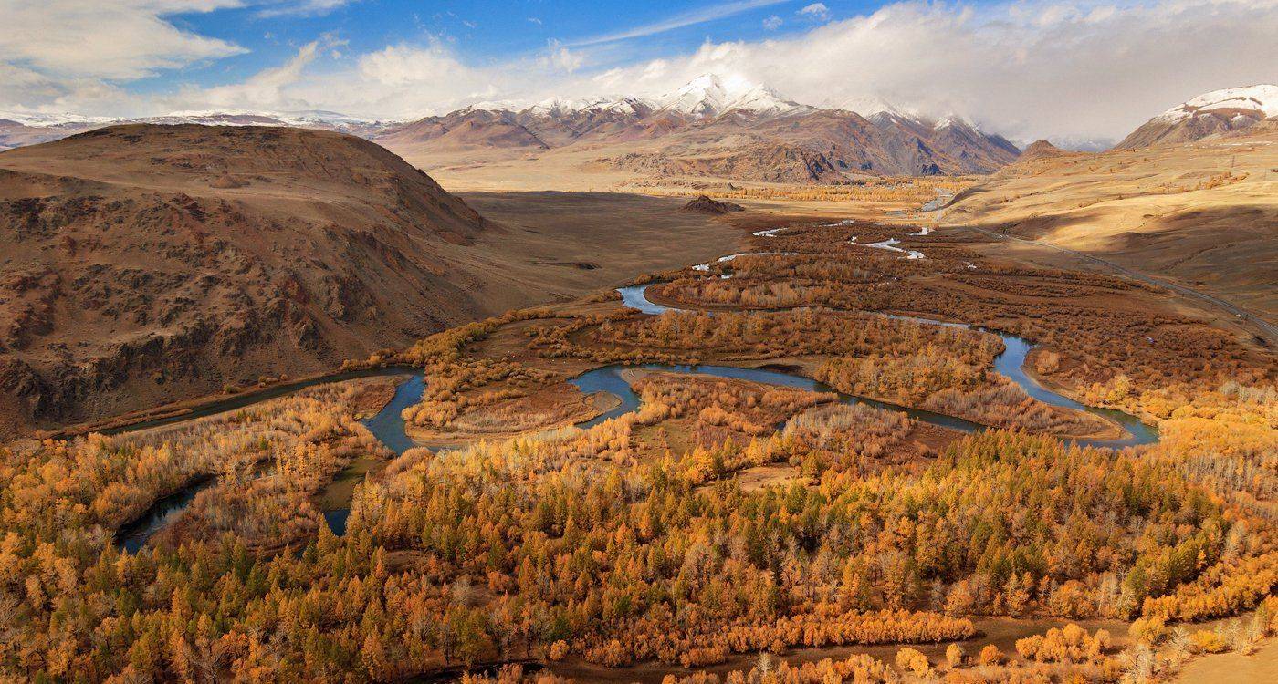 , Дмитрий Д.