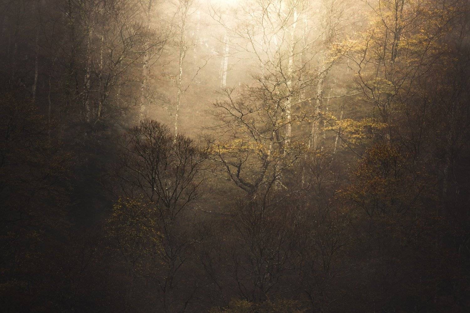 nature, landscapes, nature photography, autumn, forest, fall, trees, tolkien, lord of the rings, twin peaks, hell, flames, Onodrim