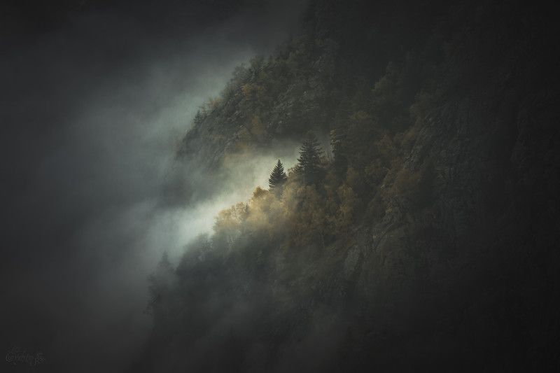 nature, landscapes, nature photography, mountain, forest, national park, trees, tolkien, lord of the rings, blut aus nord, france, pyrenees Ce qui Fut n\'est Plus, Ce qui Sera n\'est Pas, et le Chaos se tut. фото превью