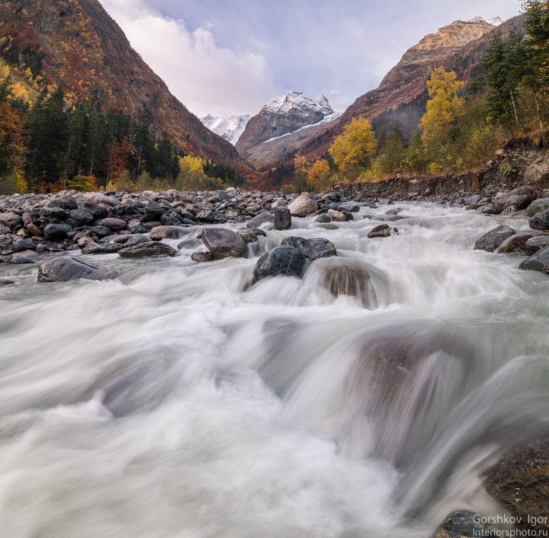 Утренний Аманауз фото превью