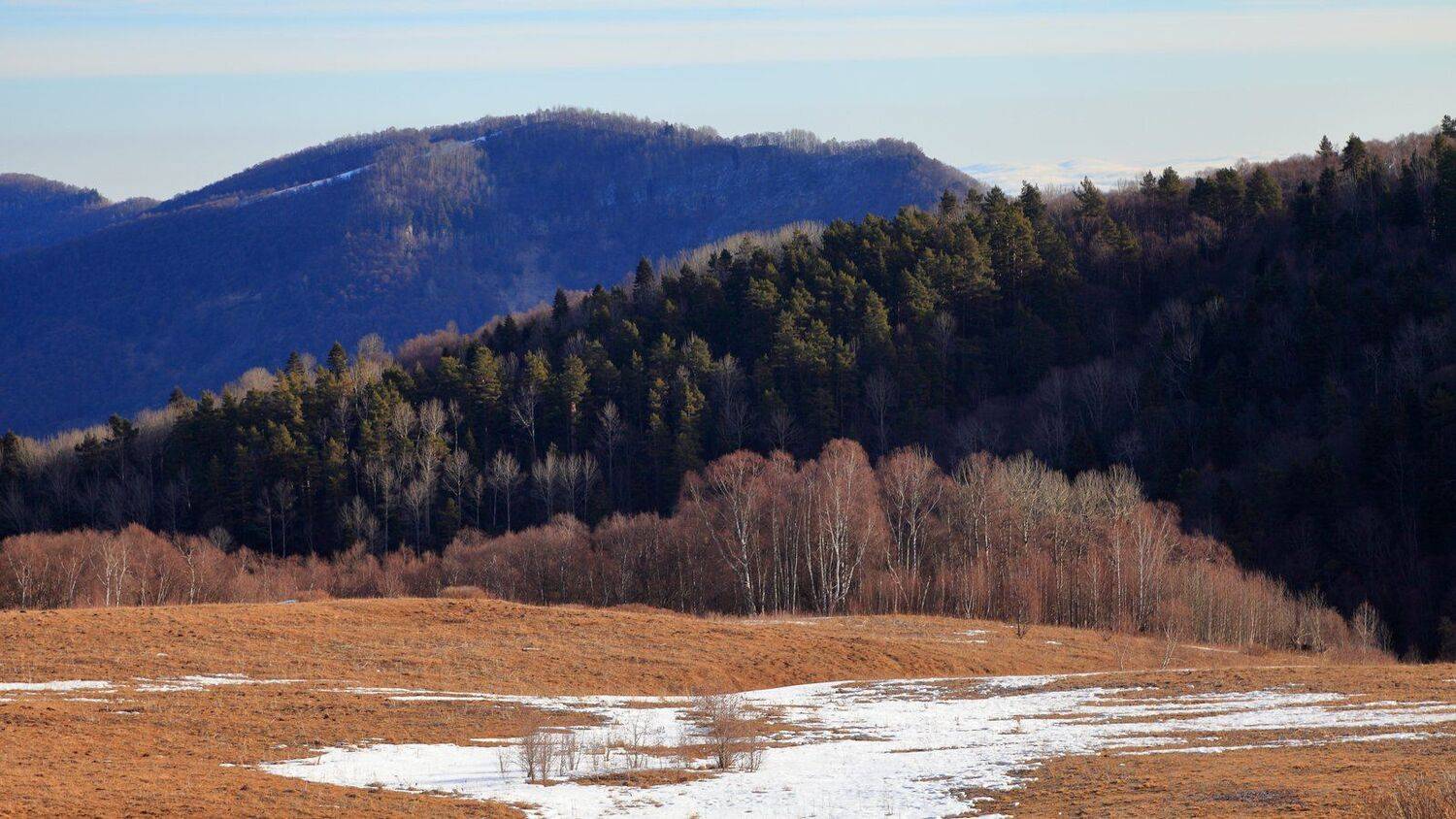 малые, бамбаки, Евгений Карпенко