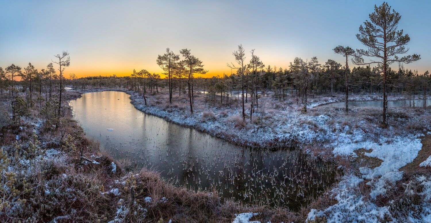 фототур, ленинградская область, деревья, сосна, болото, рассвет, осень, иней, мороз, озеро, снег, заморозки., Лашков Фёдор