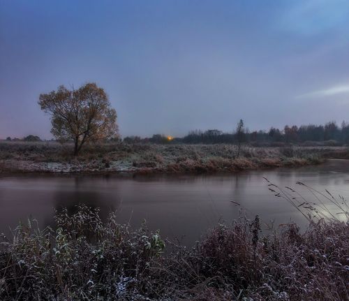 Морозное утро