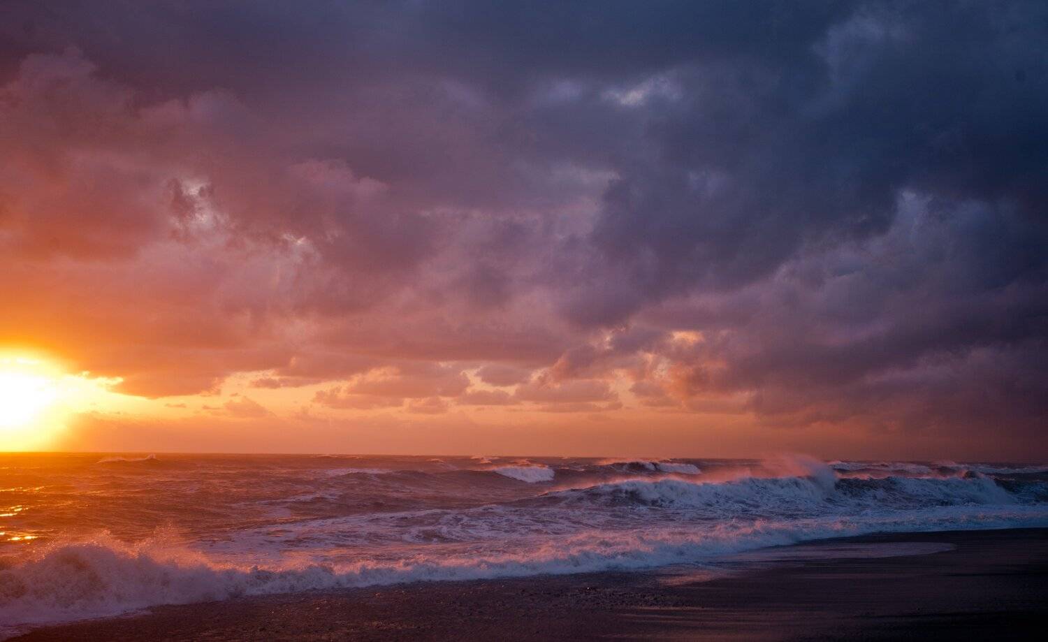 , Наталья Санникова