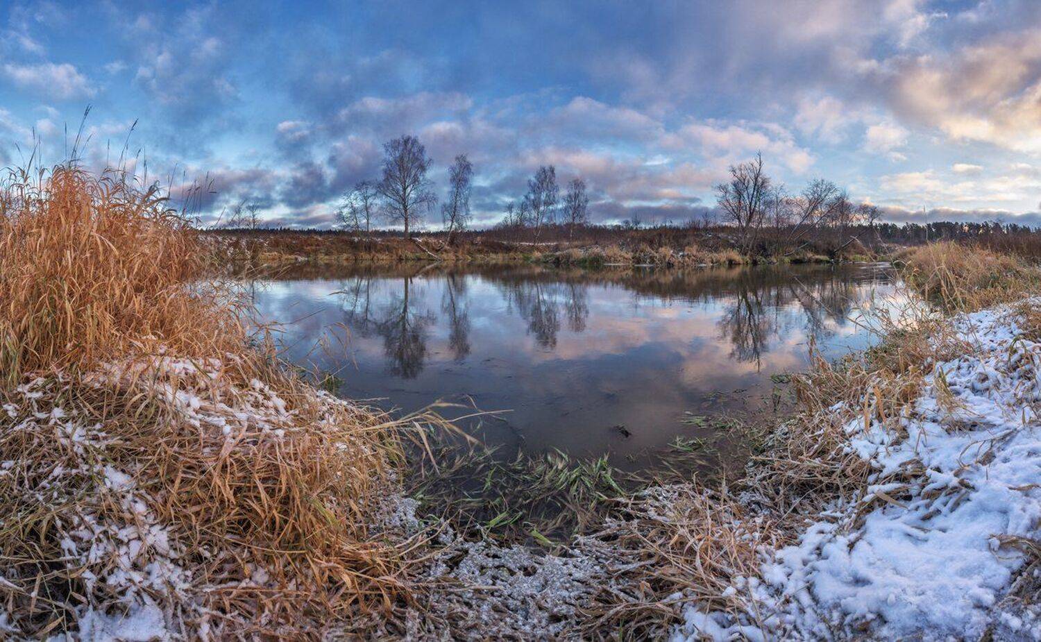 , Николай Андреев