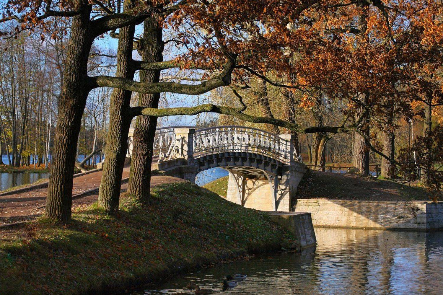 санкт-петербург, осень, гатчина, октябрь, 100-300, Лопухов Сергей