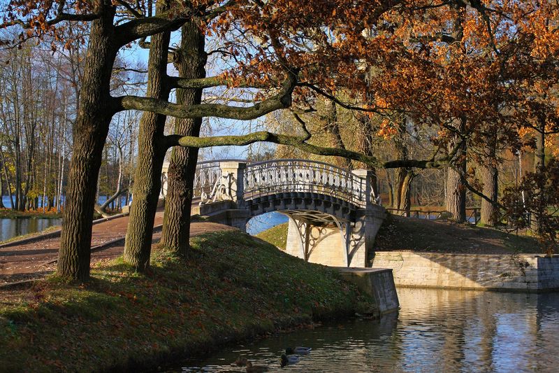 санкт-петербург, осень, гатчина, октябрь, 100-300 Гатчина солнечным октябрьским днем фото превью