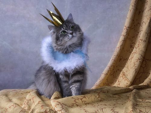Но о том, что принцессой была, я хочу. чтобы я не забыла...