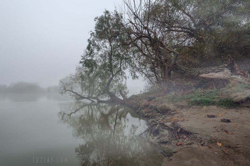 кубань, ноябрь, кубанские туманы, таманский полуостров, темрюк Про ноябрьские туманы фото превью