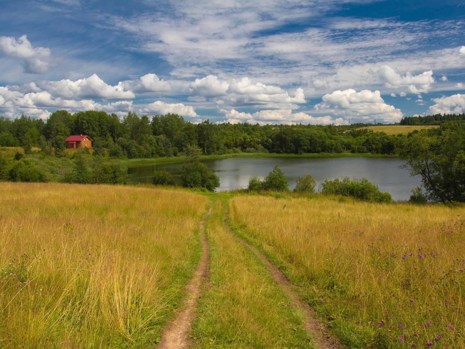 валдай, benzinych
