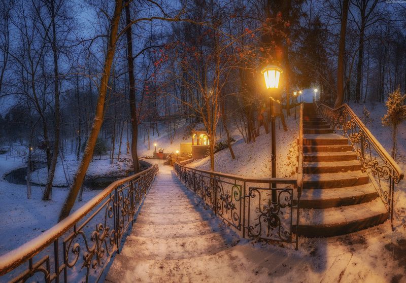 #первыйснег #зимаскоро #nikon #подмосковье  / Первый снег в Талеже /  фото превью