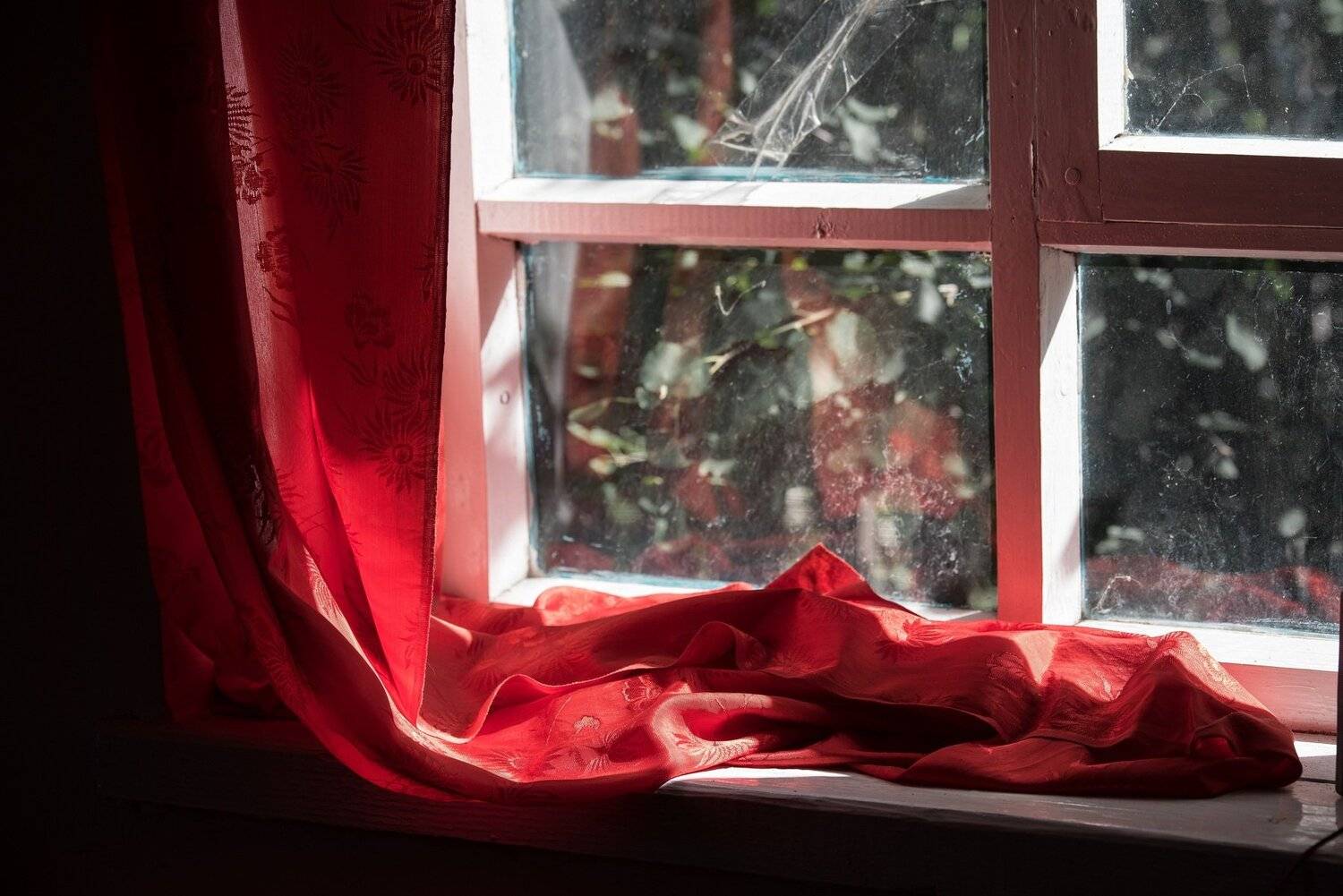 in red. Автор: Aleksei Kurlov , Aleksei Kurlov
