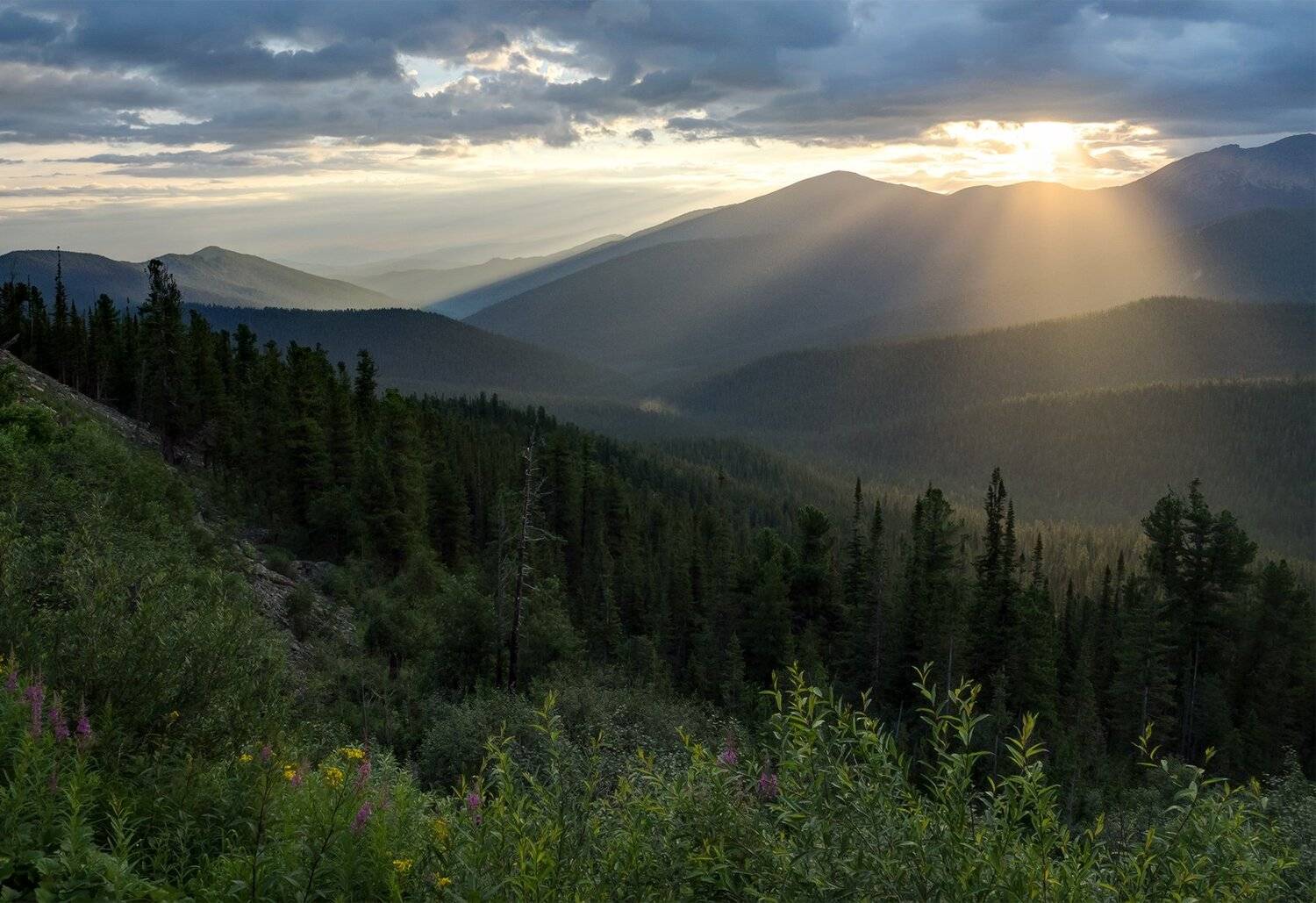 , Лещёнок Александр