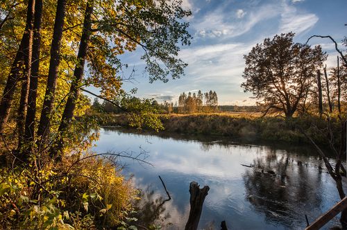 Осенний калейдоскоп