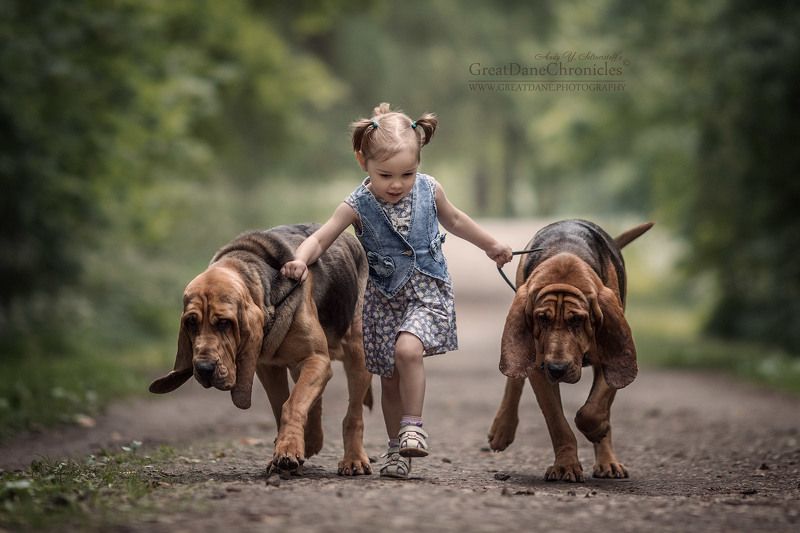 Крошки, за мной! фото превью