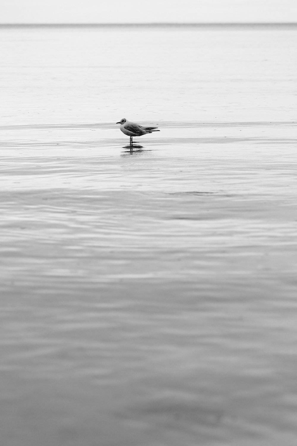 , Прозорова Наталья