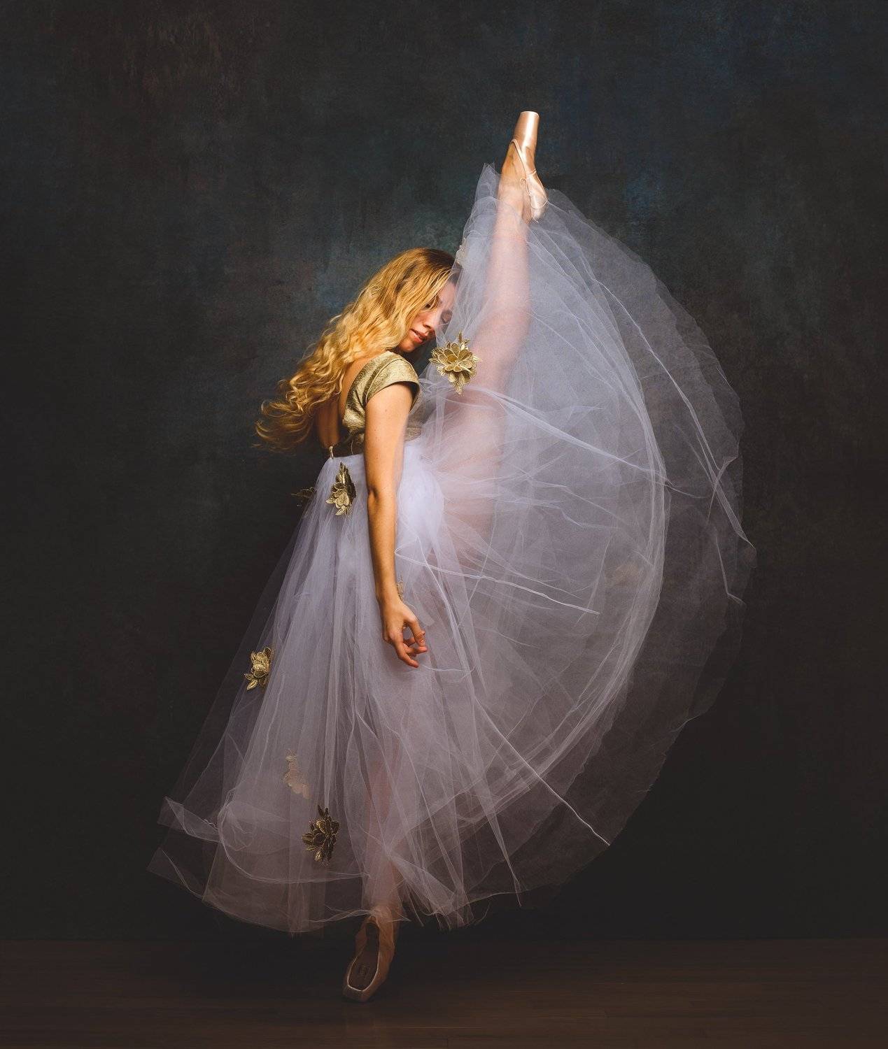 beauty portrait girl young female blonde dancer ballerina fashion, Saulius Ke