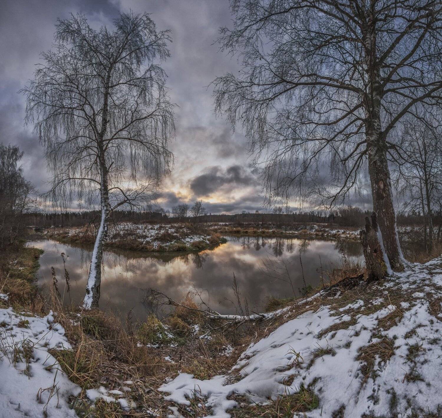 , Николай Андреев