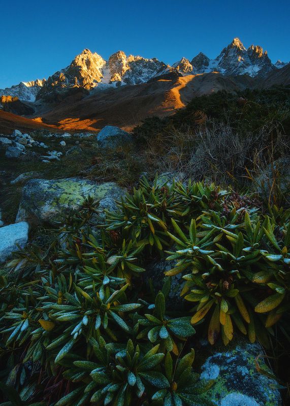 россия, кавказ, северная осетия, горы, ущелье, дигория, рассвет, сумерки, природа, хребет, скалы, небо, река, ледник, болото Осень в Осетии фото превью