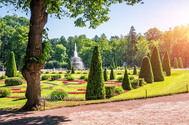 Фонтан в фигурном парке фото превью