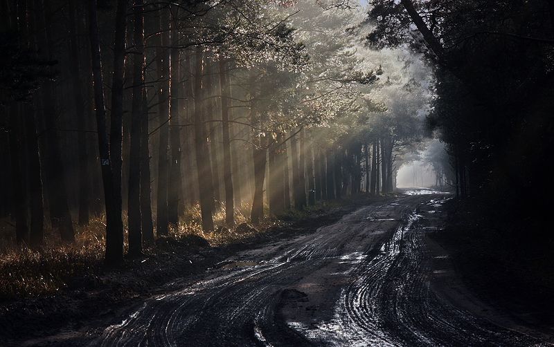 ...  фото превью