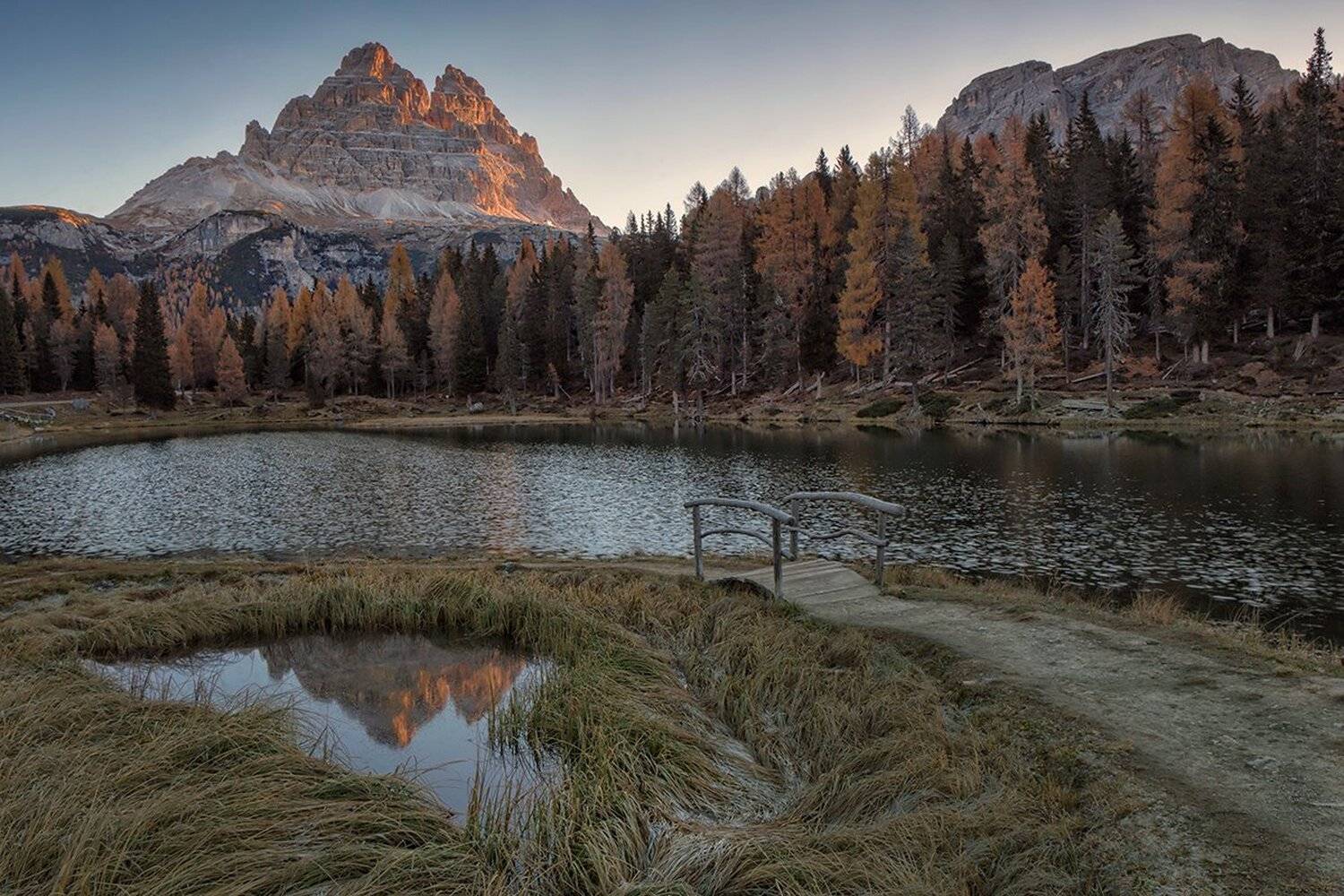 , Игорь Дубровский