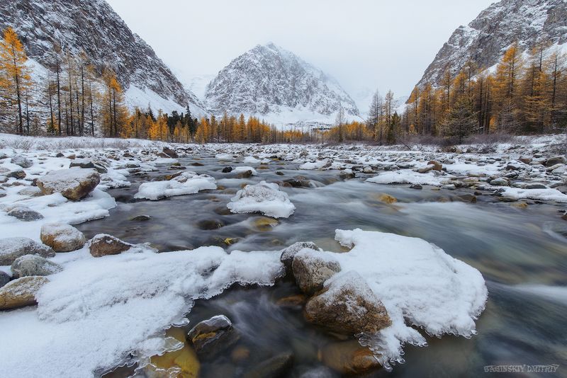 алтай, актру, снег Долина реки Актру фото превью