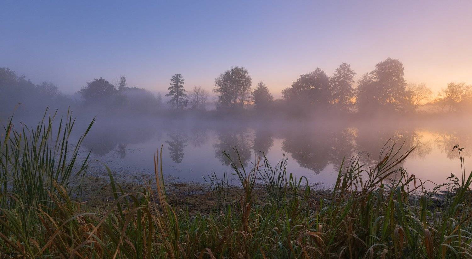 autumn, dawn, fog, forest, lake, morning, panorama, reflection, sunrise, деревья, лес, озеро, осень, отражение, панорама, плавни, рассвет, туман, Утро, trees, Misty, colors, small, foggy dawn, I'M