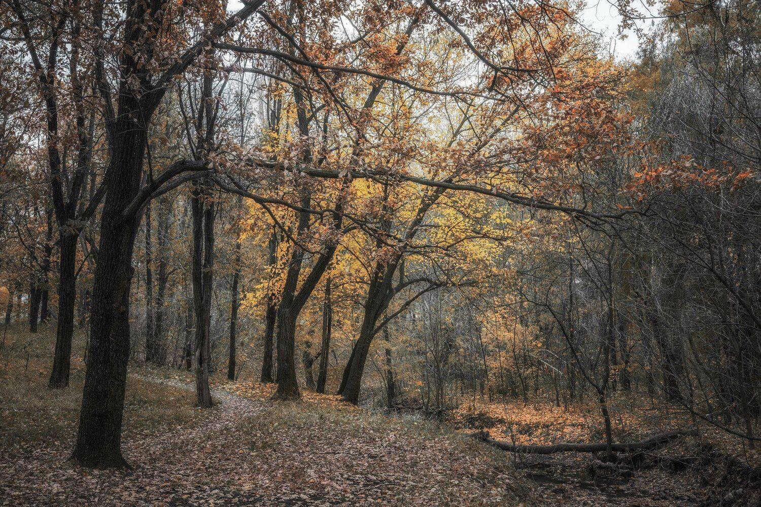 , Юрий Пужалин