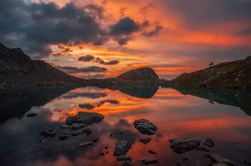 Рассвет фото превью