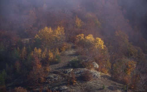 Тропинка в осень