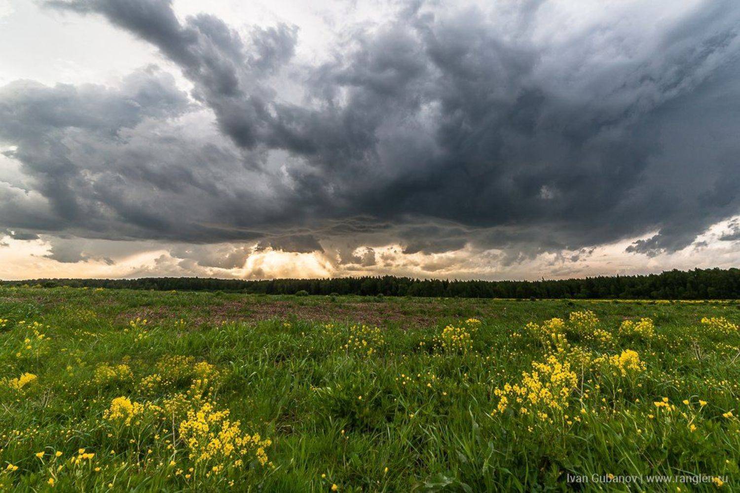 небо, пейзаж, россия, ненастье, гроза, утро, поле, Иван Губанов