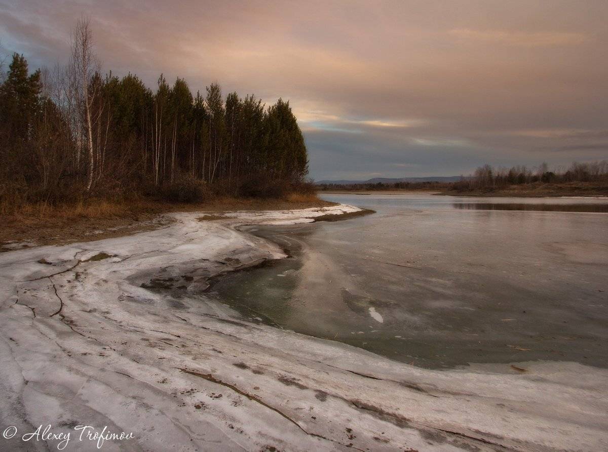 , Алексей Трофимов