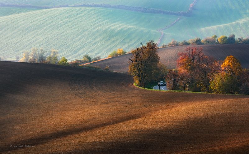 пейзаж, моравия, чехия Про линии и текстуры... фото превью
