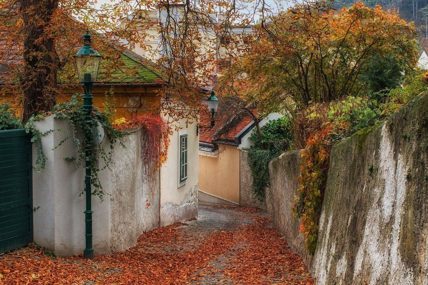 , Сергей Давыдов