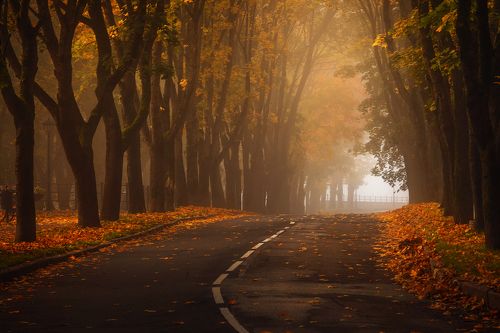 Перманентное мгновение нирваны