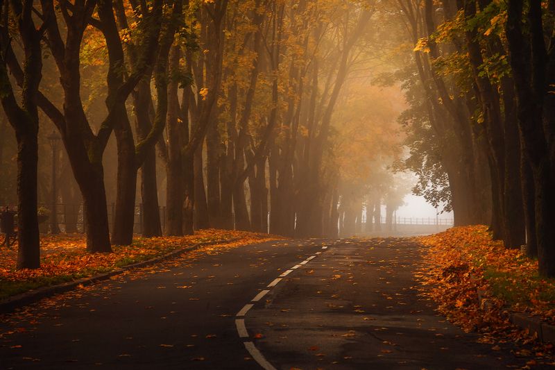 утро, туман, рассвет, осень, нарва Перманентное мгновение нирваны фото превью