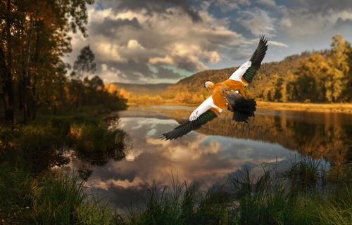 Осень в России