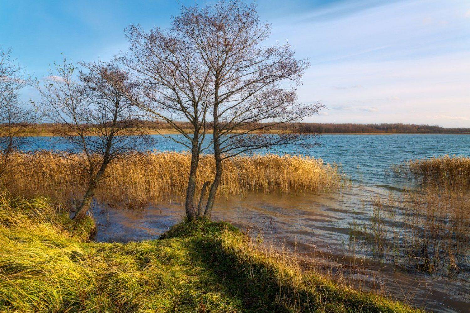 , Михаил Кушнер