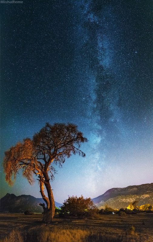 Night idyll фото превью