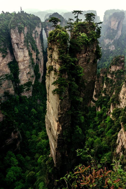 Стоять вместе тысячу лет фото превью