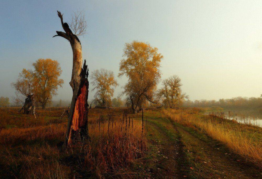 утро осень река дорога, Петриченко Валерий