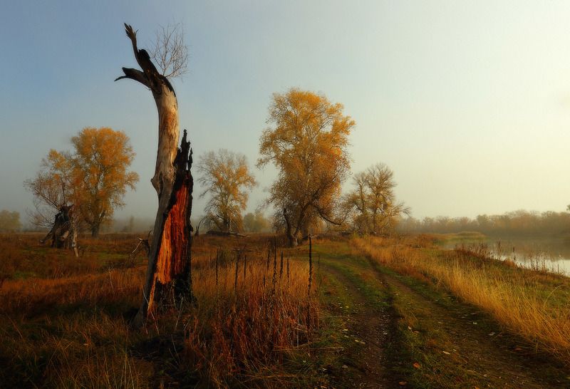 утро осень река дорога Утро греет тёплым светом. фото превью